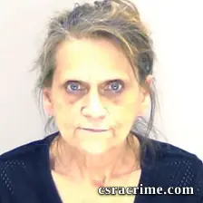 Cynthia Adams booking photo