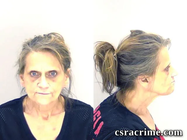 Cynthia Adams booking photo
