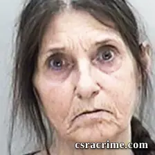 Cynthia Dileo booking photo