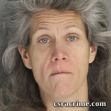 Cynthia Fellner booking photo