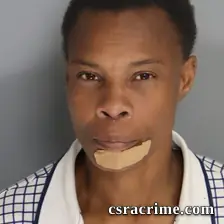 Cynthia Garvin booking photo