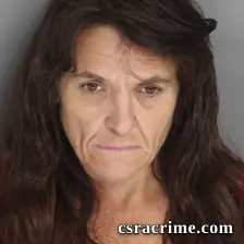 Cynthia Hall booking photo