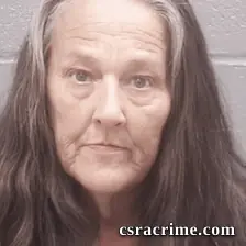 Cynthia Mccarty booking photo