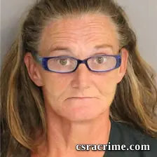 Cynthia Padgett booking photo