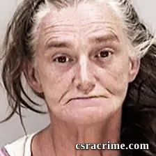 Cynthia Padgett booking photo