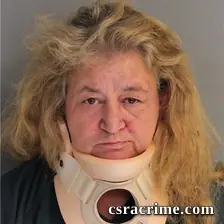 Cynthia Scott booking photo