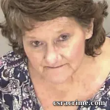 Cynthia Sue Beeland booking photo