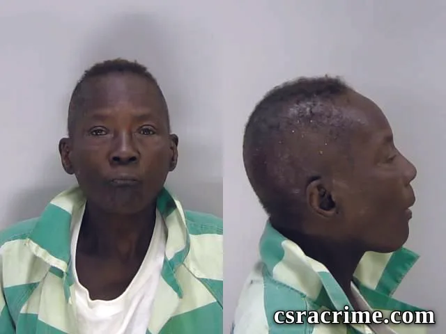 Cynthia Thurmond booking photo