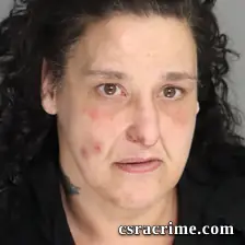 Cynthia Vest booking photo