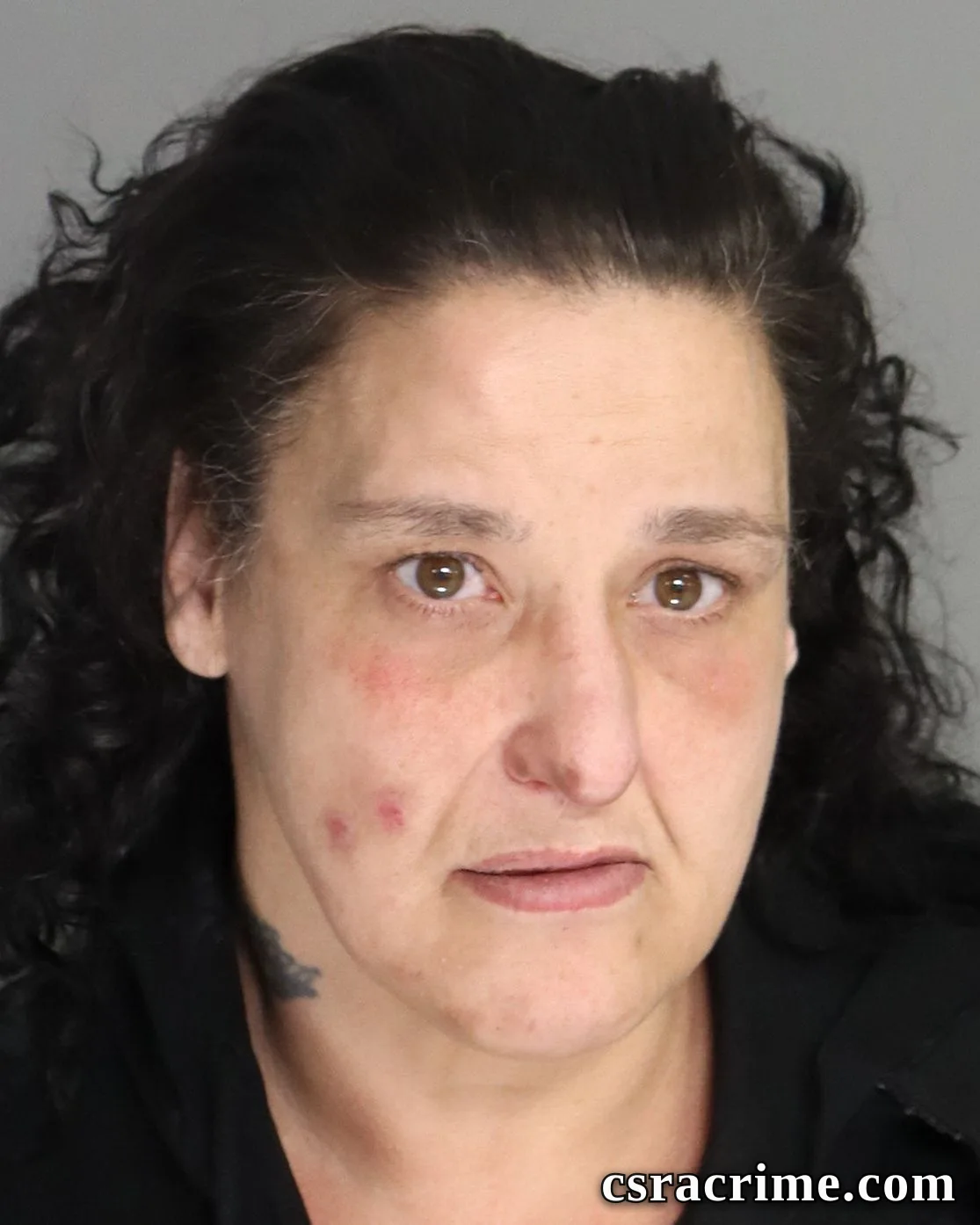 Cynthia Vest booking photo