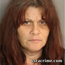 Cynthia Webb booking photo