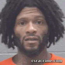 Dadrien Johnson booking photo