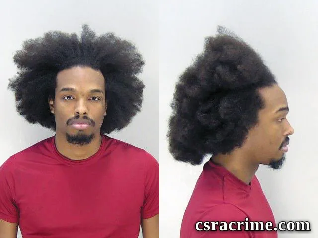 Daeshun Jordan booking photo