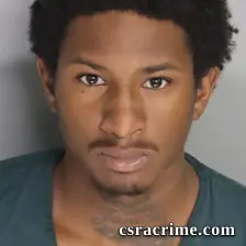 Dahlyjuwan Williams booking photo