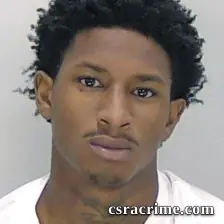 Dahlyjuwan Williams booking photo