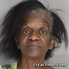 Daisy Sturgis booking photo