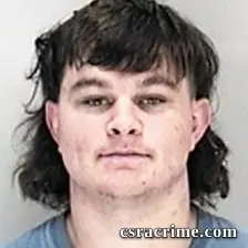 Dakota Wilson booking photo