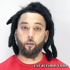 Dallas Ruiz booking photo