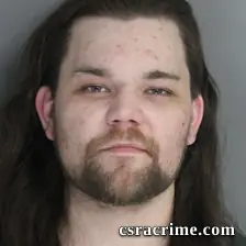 Dalton Puckett booking photo