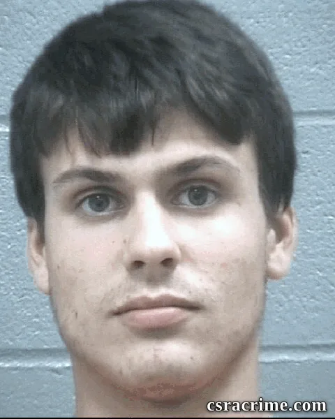 Dalton Whitehead booking photo