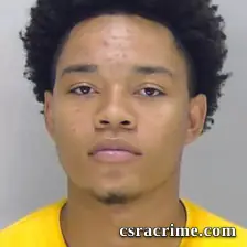 Damarion Tyler booking photo