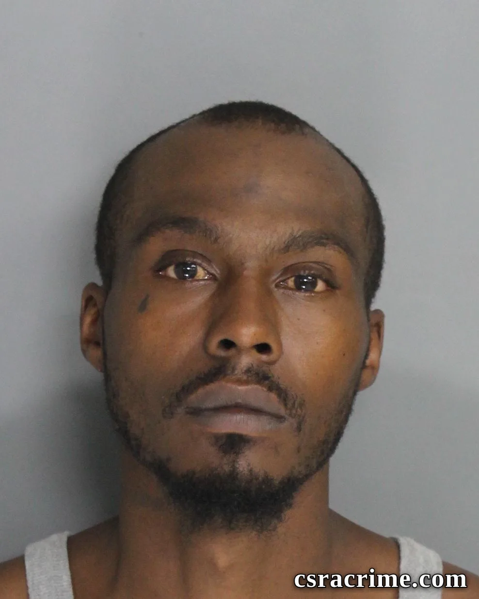 Damian Burley booking photo