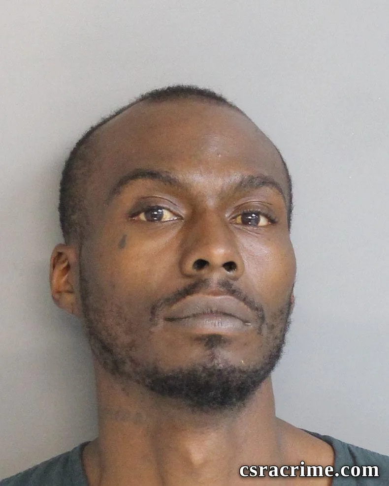 Damian Burley booking photo