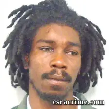 Damien Lamont King booking photo