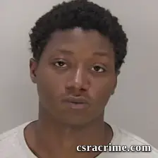 Damouriee Quarles booking photo