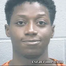 Damouriee Quarles booking photo
