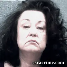 Dana Alkire booking photo