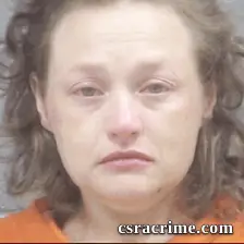 Dana Faircloth booking photo
