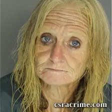 Dana Herron booking photo