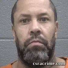 Dana Mcclendon booking photo