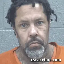 Dana Mcclendon booking photo