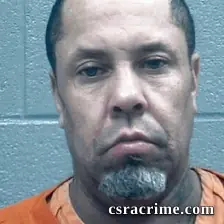 Dana Mcclendon booking photo