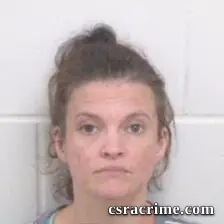 Dana Michelle Palmer booking photo