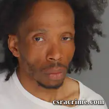 Danar Jenkins booking photo