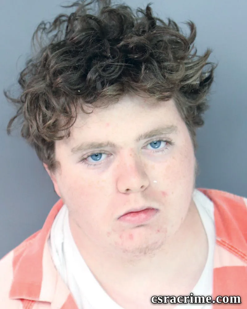 Daniel Mulholland booking photo