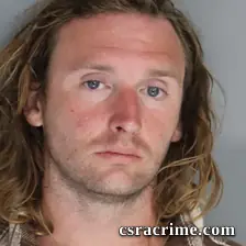 Daniel Palmer booking photo