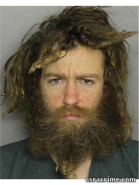 Daniel Sofge booking photo