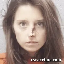 Danielle Britt booking photo