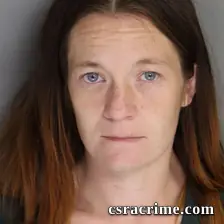 Danielle Currier booking photo
