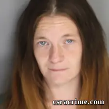 Danielle Currier booking photo