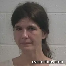 Danielle Denise Sauls booking photo