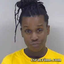 Danielle Kirk booking photo