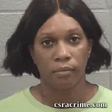 Danielle Michele Johnson booking photo