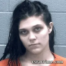 Danielle Williamson booking photo