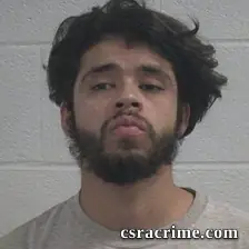 Dany F Monzon-Linare booking photo