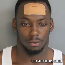 Daonnie Brown booking photo